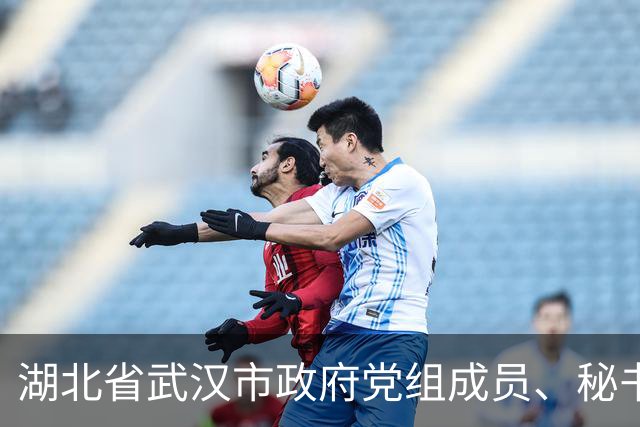 湖北省武汉市政府党组成员、秘书长唐超简历